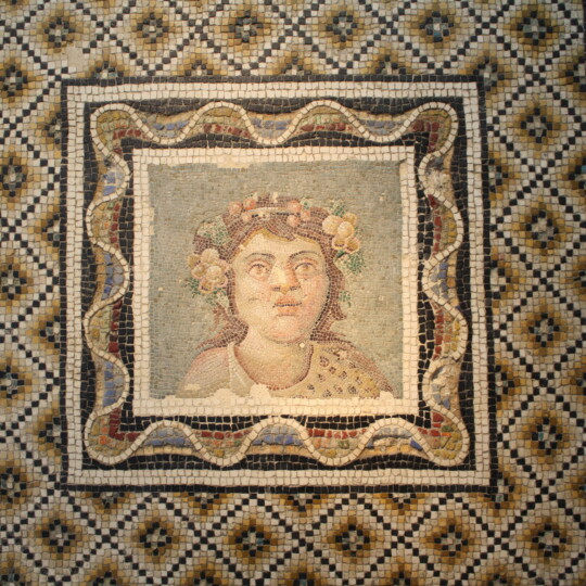Commemorative Mosaic Floor Inscriptions in the Roman Baths of Italy