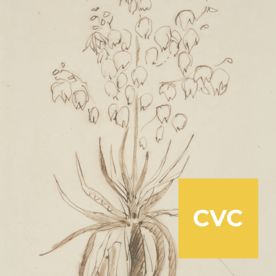CVC Masterclass: ‘Plants with Personality’: Vegetal life in the Kettle’s Yard Collections, with Anna Reid and collaborators