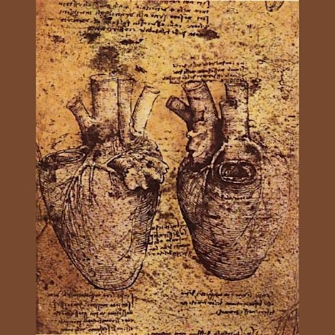 Art at the heart of Leonardo da Vinci’s anatomical studies